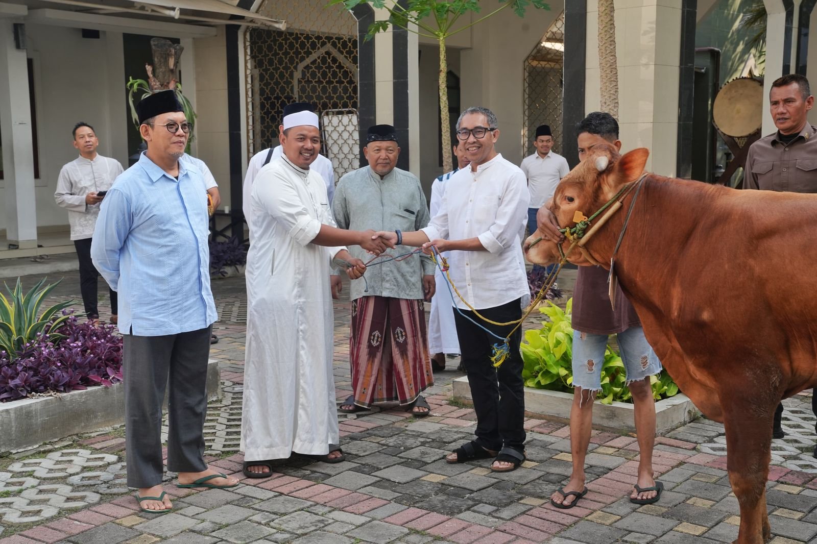 PGN Group Bagikan 955 Hewan Kurban untuk Masyarakat di Hari Raya Idul Adha 1446 H