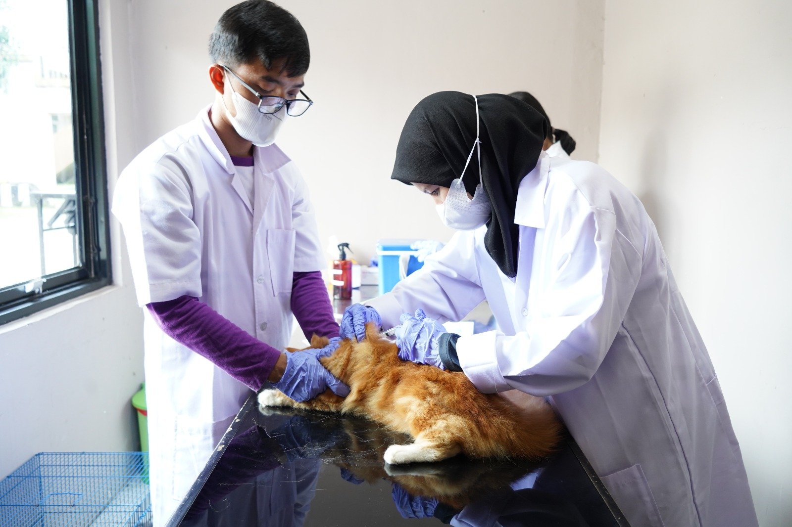 Karantina Sumsel Gelar Sosialisasi dan Vaksinasi Rabies Gratis
