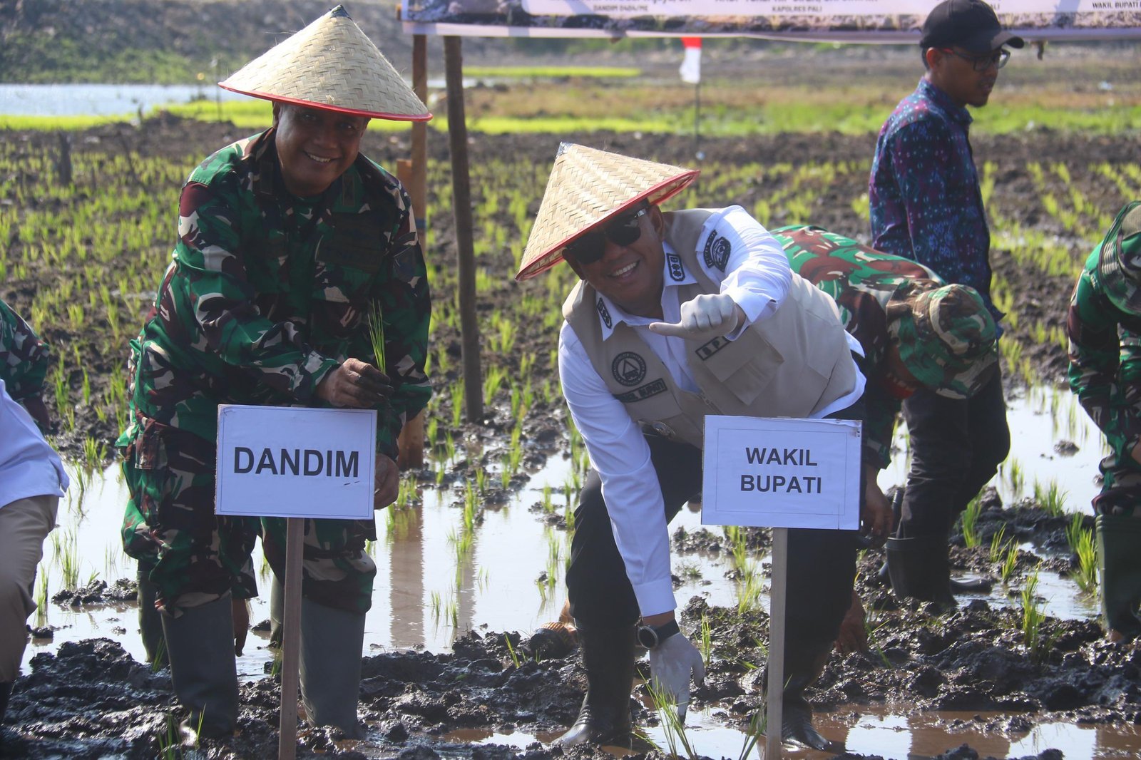 PALI Lakukan Tanam Perdana di Lahan Sawah Baru, Target Jadi Lumbung Pangan Sumsel