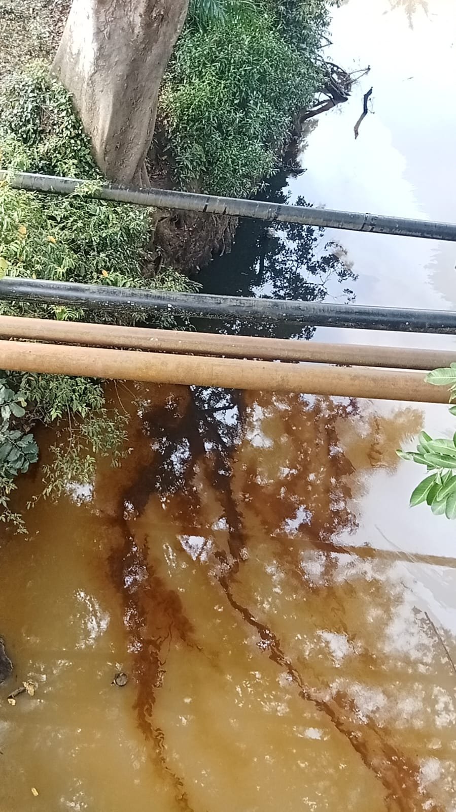 Kebocoran Pipa Minyak di Sungai Ibul, Medco E&P Bergerak Cepat Tangani Dampak — Dugaan Sabotase Jadi Sorotan