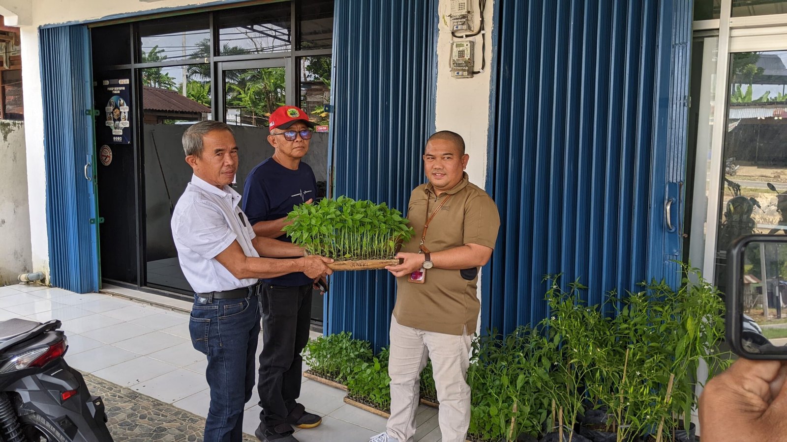 Tekan Inflasi Pangan, Dinas Ketahanan Pangan PALI Dorong Gerakan Tanam Cabai Serentak