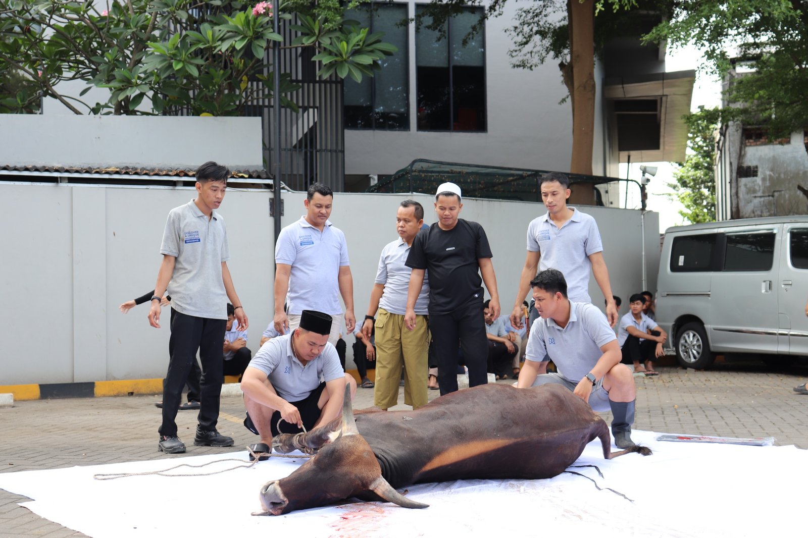 Semangat Berbagi di Hari Raya Idul Adha, BATIQA Hotel Palembang Potong 1 Sapi Qurban di Lingkungan Hotel.