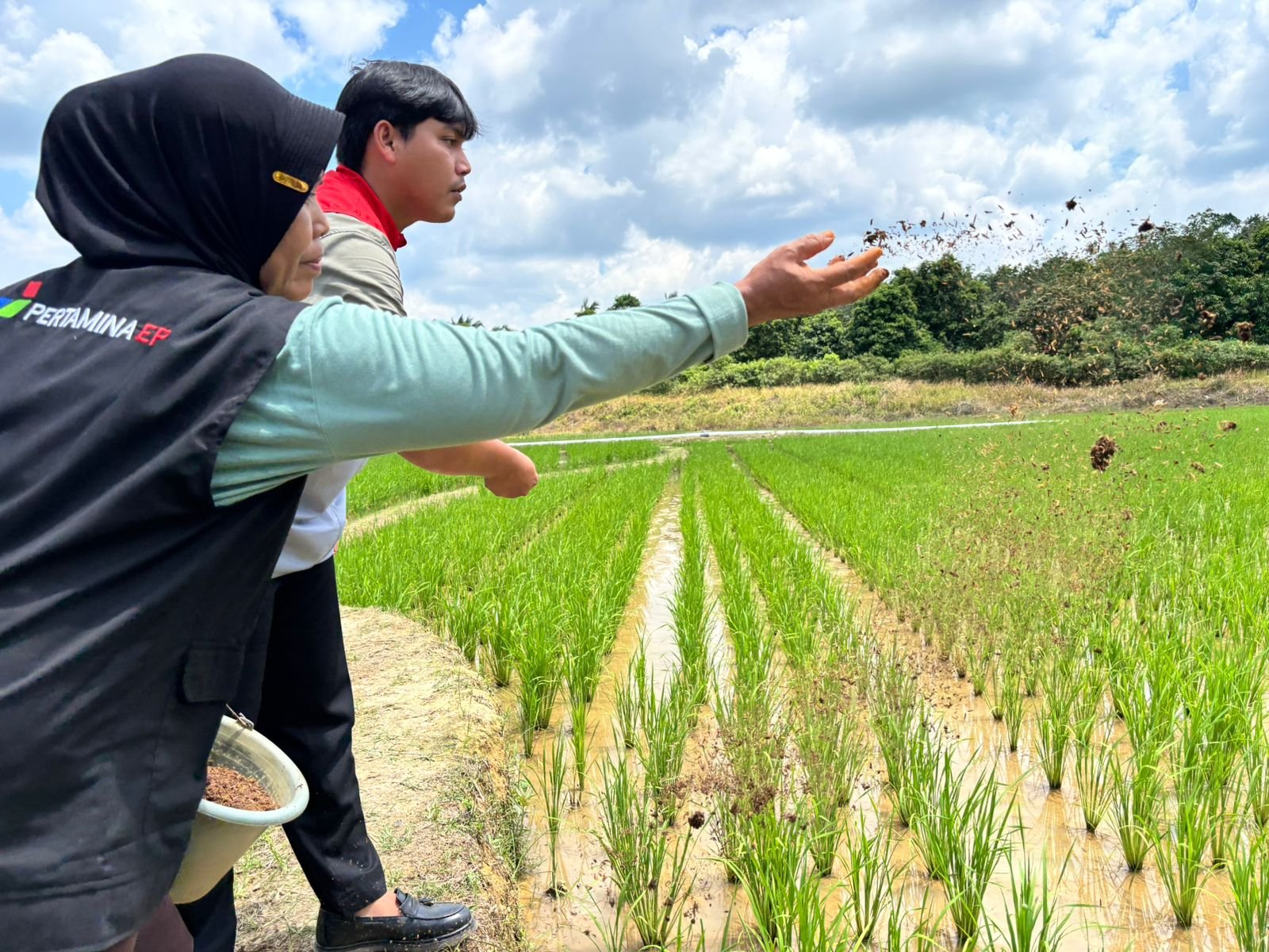 Sentuhan Pertamina Ubah Nasib Petani PALI, Dari Terjerat Utang Kini Raup Jutaan Rupiah dari Pertanian Organik